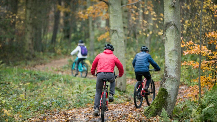 Cycling is the perfect way to explore the wider park